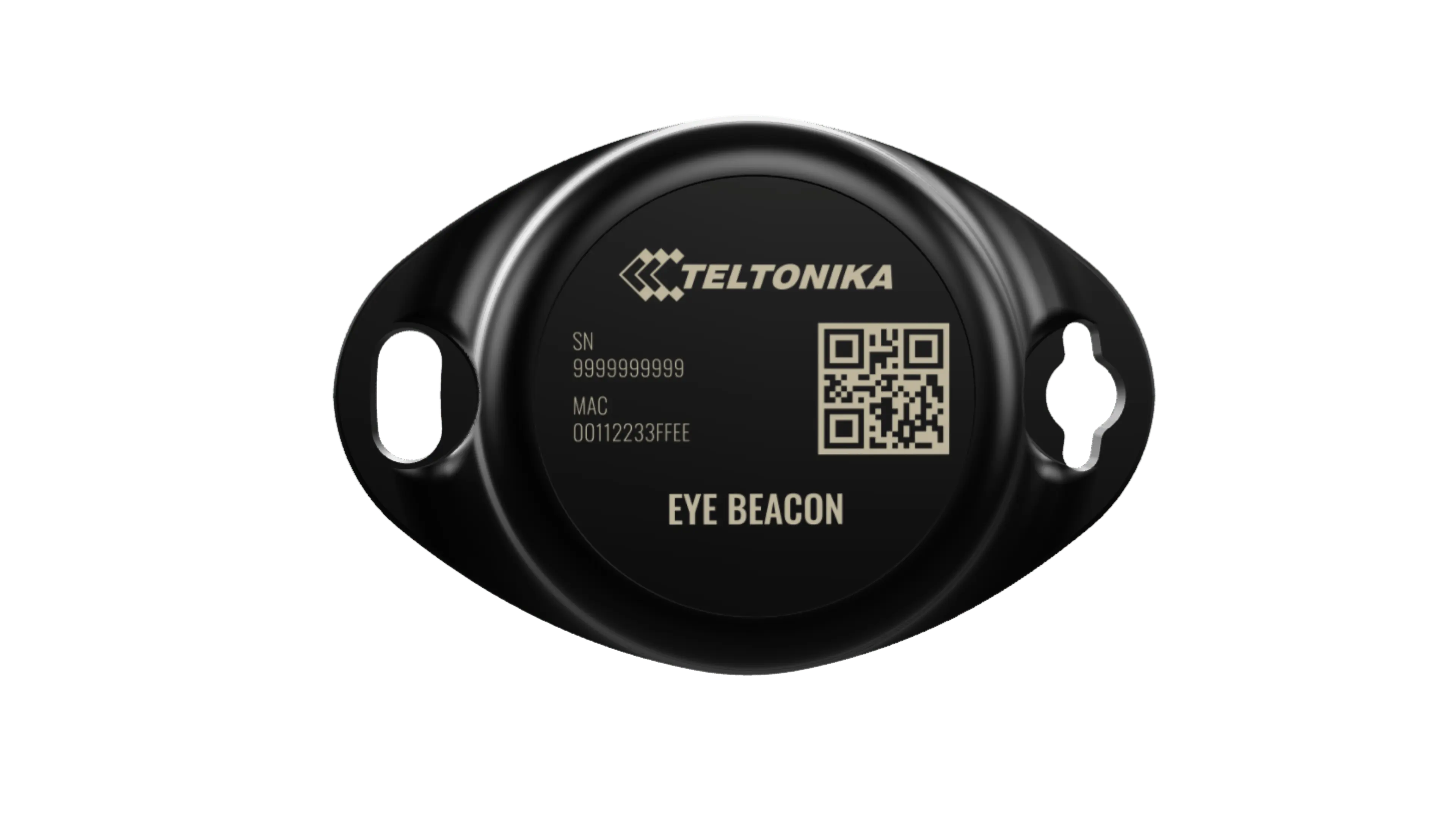 Teltonika asset tag hardware